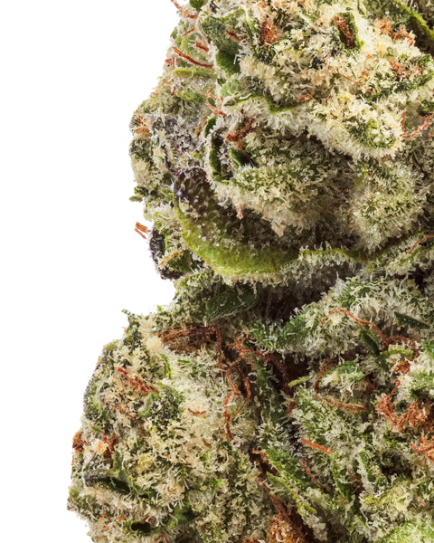Indoor Hemp Flowers | THCa