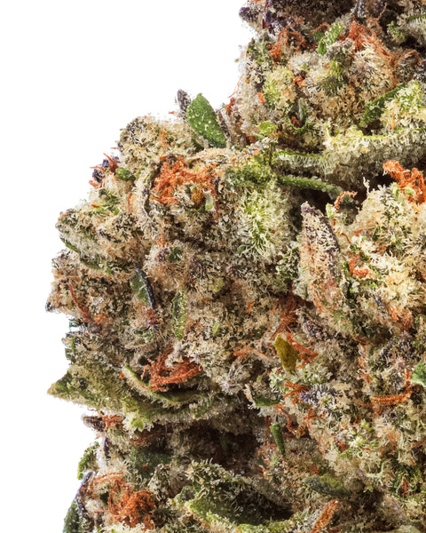 Wild 99s - Budget Ounces