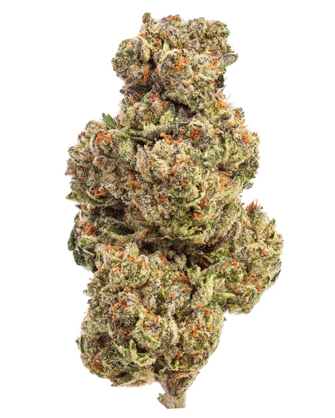 Wild 99s - Budget Ounces
