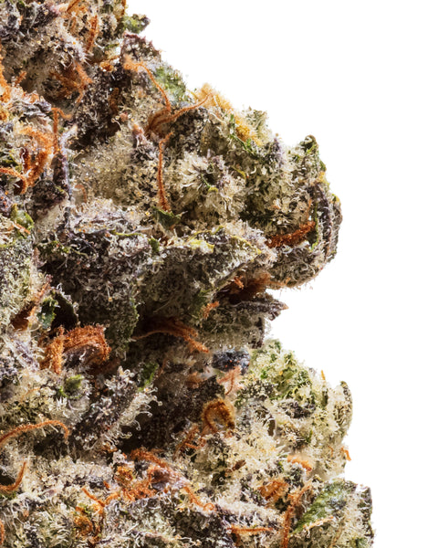 Indoor Hemp Flowers | THCa