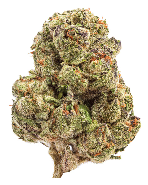 Wild 99s - Budget Ounces