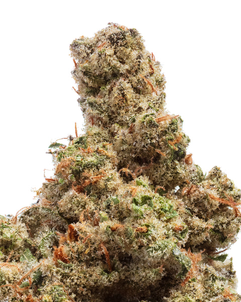 Indoor Hemp Flowers | THCa