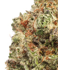 Indoor Hemp Flowers THCa - lab-tested indoor flower photo 37