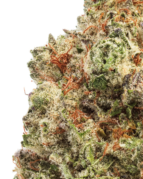 Indoor Hemp Flowers | THCa