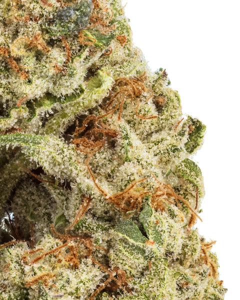 Greenhouse Hemp Flowers | THCa