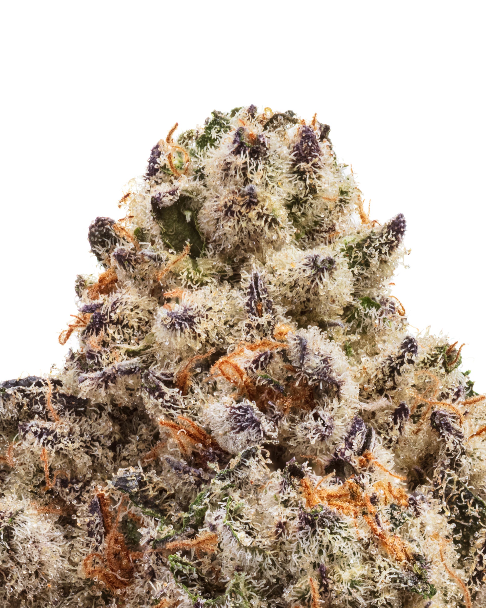 Wild Reserve Flowers THCa | Wildflower Hemp Co | Premium THC a