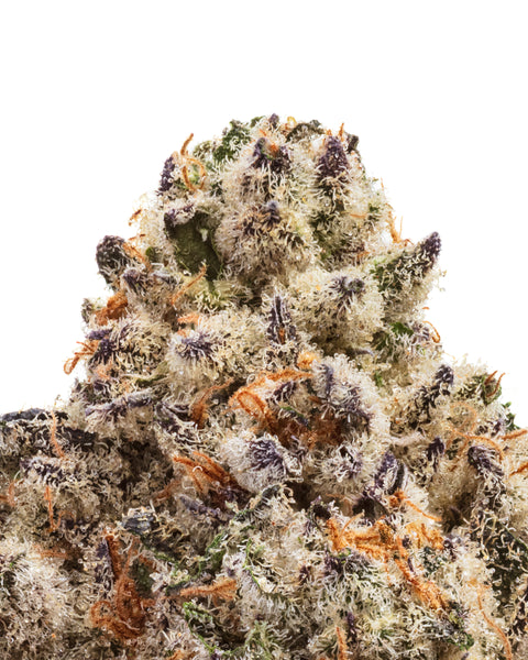 Réserve sauvage | Fleur THCa