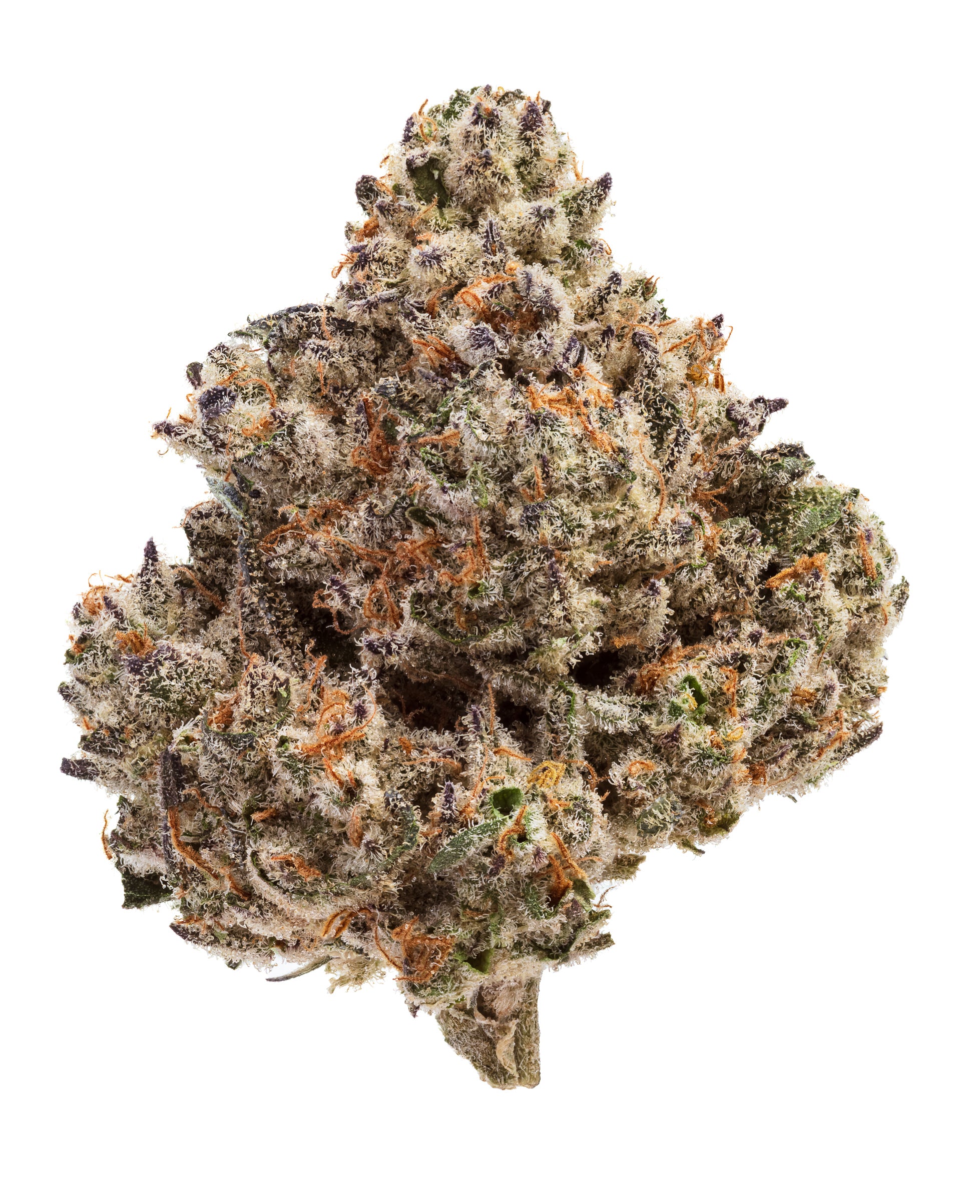 Wild Reserve Flowers THCa | Wildflower Hemp Co | Premium THC a