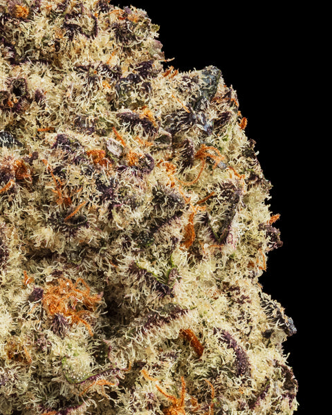 Wild Reserve Flower | THCa