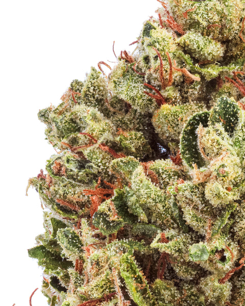Greenhouse Hemp Flowers | THCa