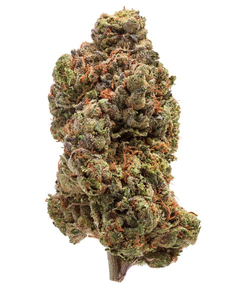 Fleurs de chanvre de serre (THCa)