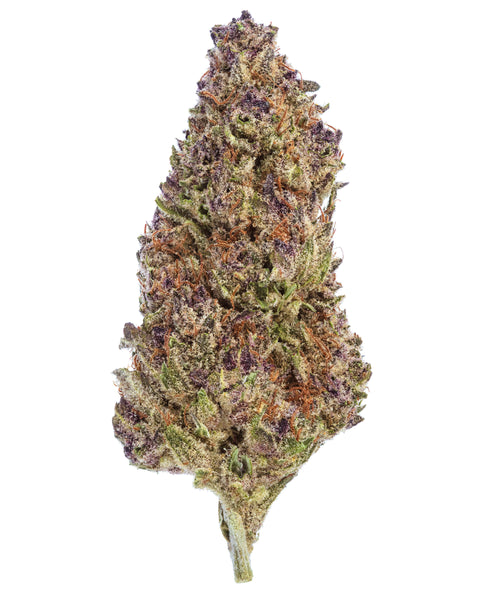 Wild 99s - Budget Ounces