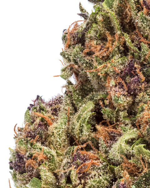 Greenhouse Hemp Flowers | THCa