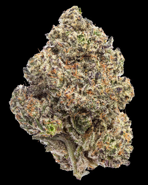 Wild Reserve Flower | THCa