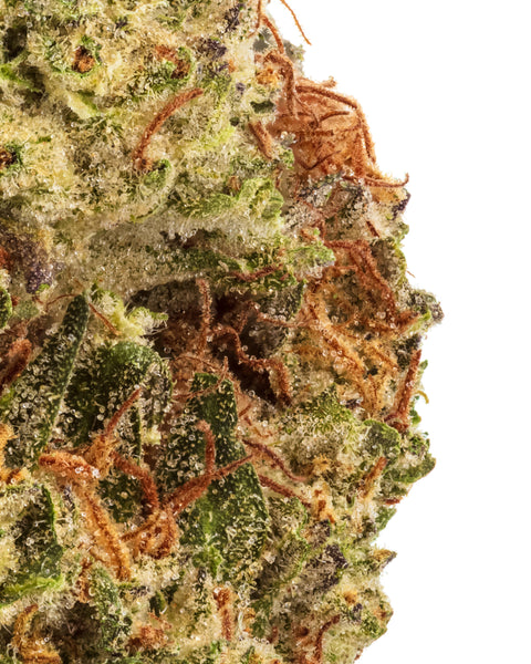 Wild 99s - Budget Ounces