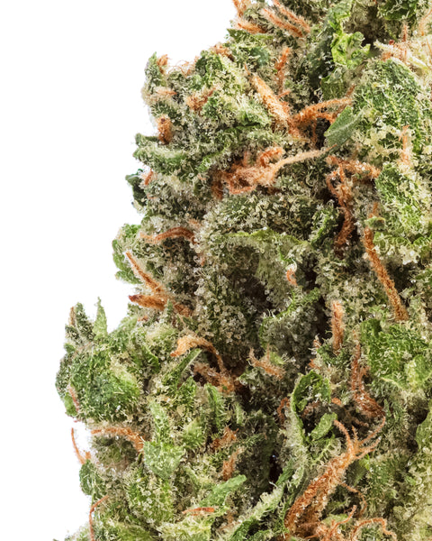 Greenhouse Hemp Flowers | THCa