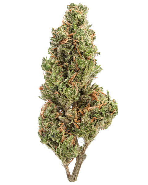 Greenhouse Hemp Flowers | THCa