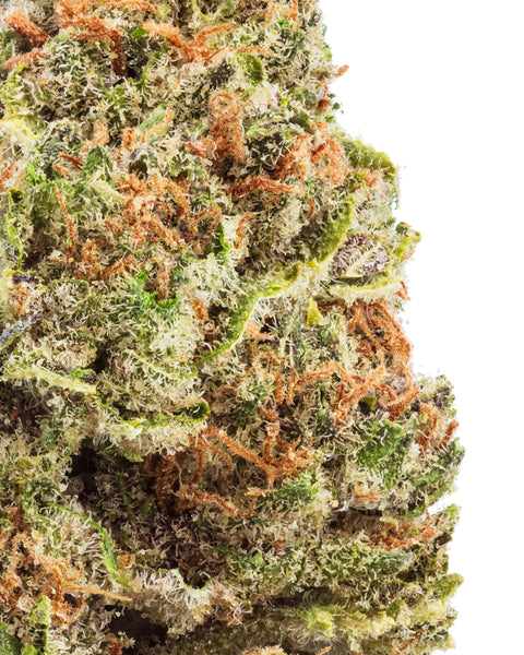 Greenhouse Hemp Flowers | THCa