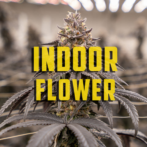 Indoor Hemp Flowers (THCa)