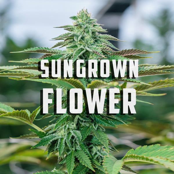 Greenhouse Flowers THCa | Wildflower Hemp Co | High THC a & Delta